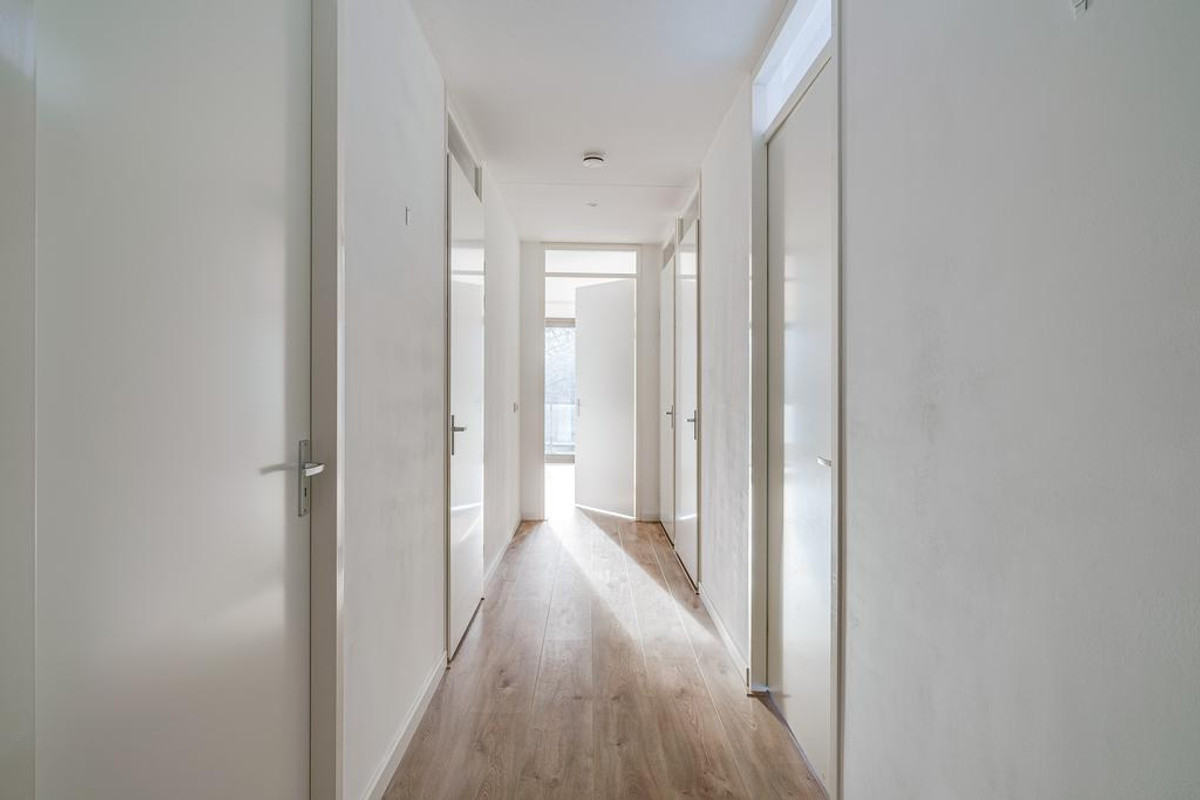 House Image 3