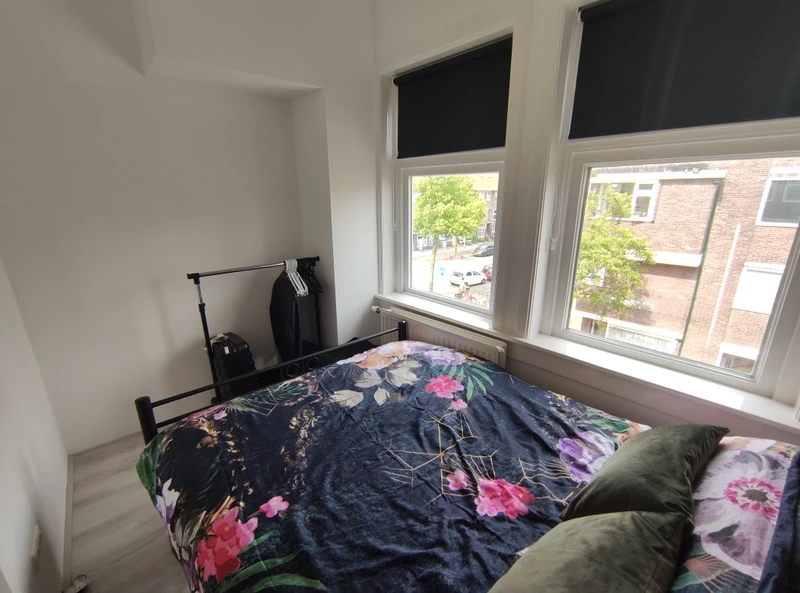 House Image 3