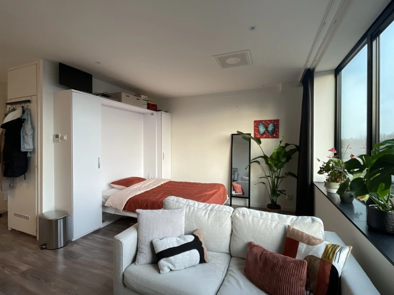 House Image 5
