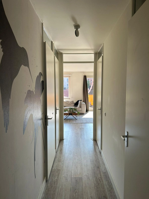 House Image 5