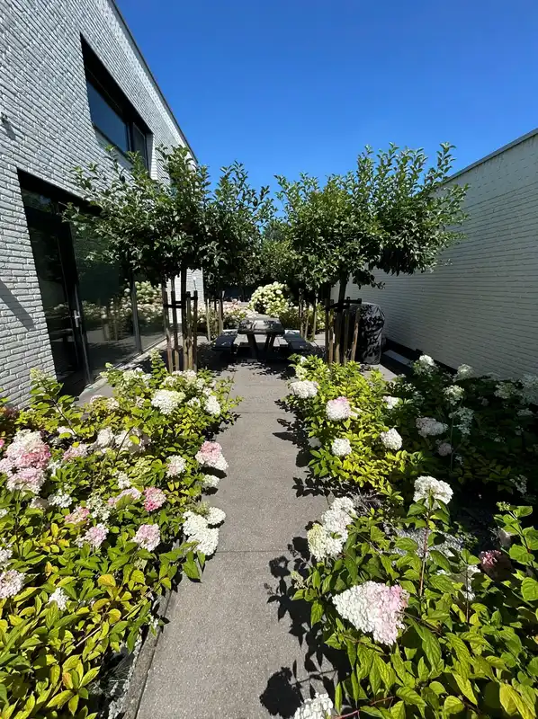 House Exterior