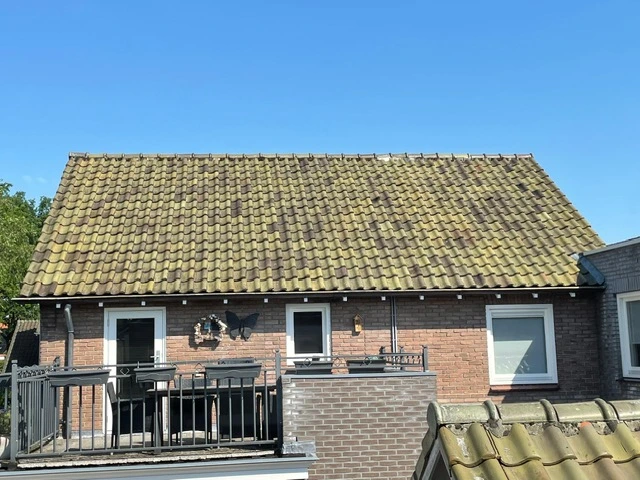 House Image 4
