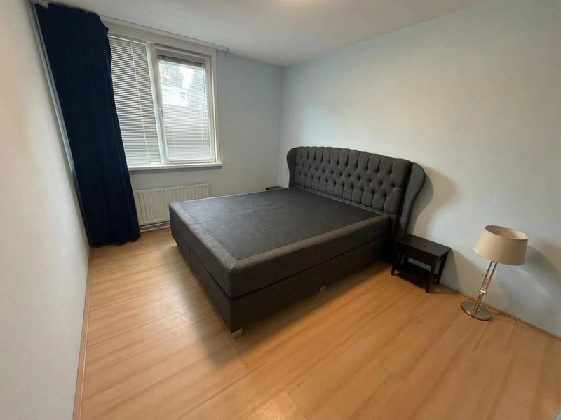House Image 5