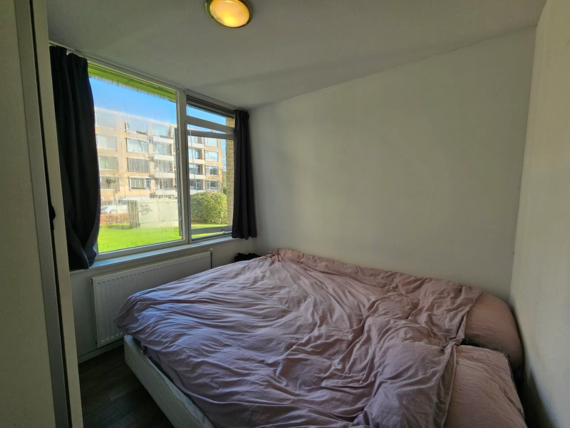 House Image 5