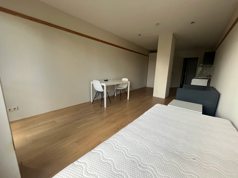 House Image 5