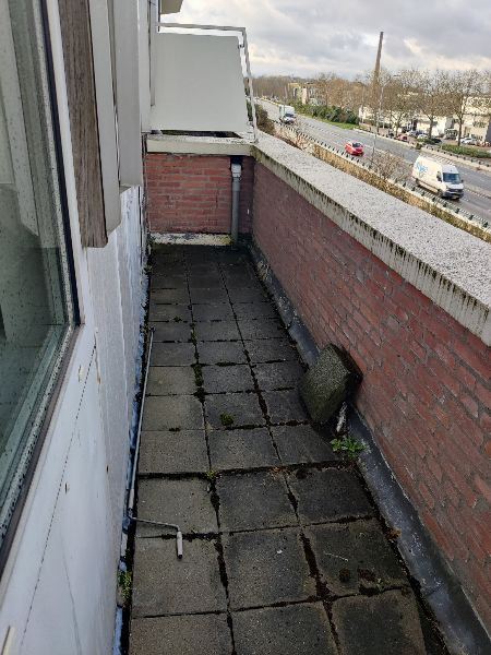 House Image 5