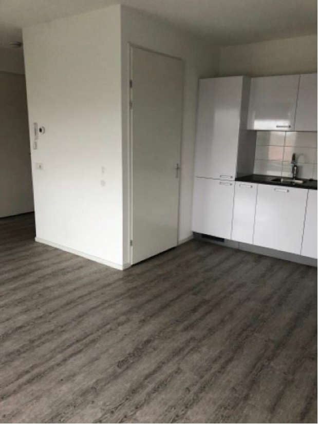 House Image 2