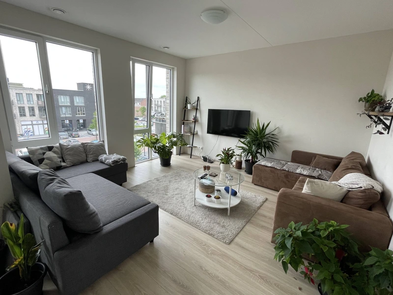 House Image 3