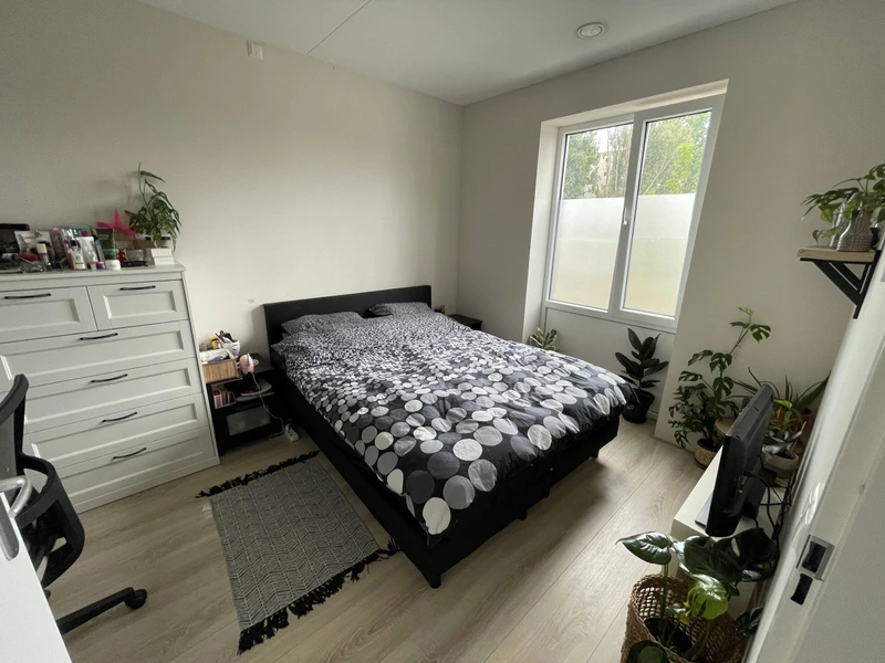 House Image 5