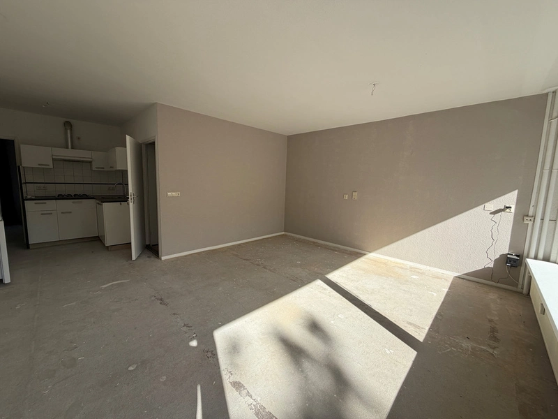 House Image 4