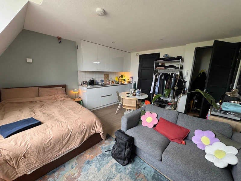 House Image 4