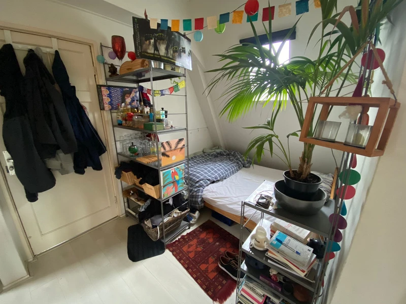 recent house
