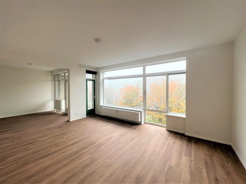 House Image 3