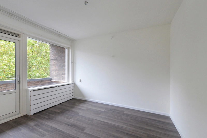 House Image 5