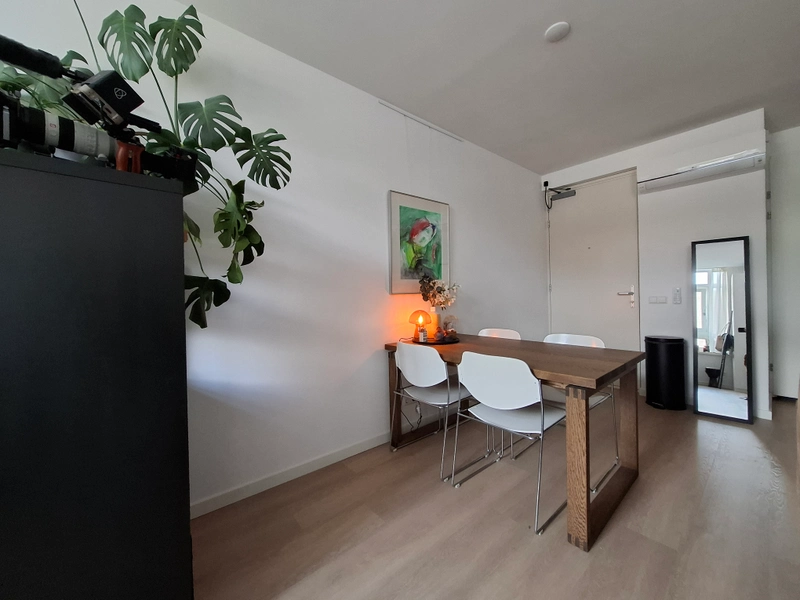 House Image 4
