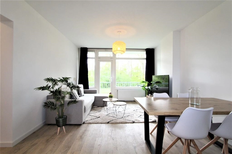 House Image 3