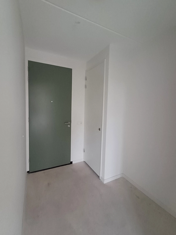 House Image 5
