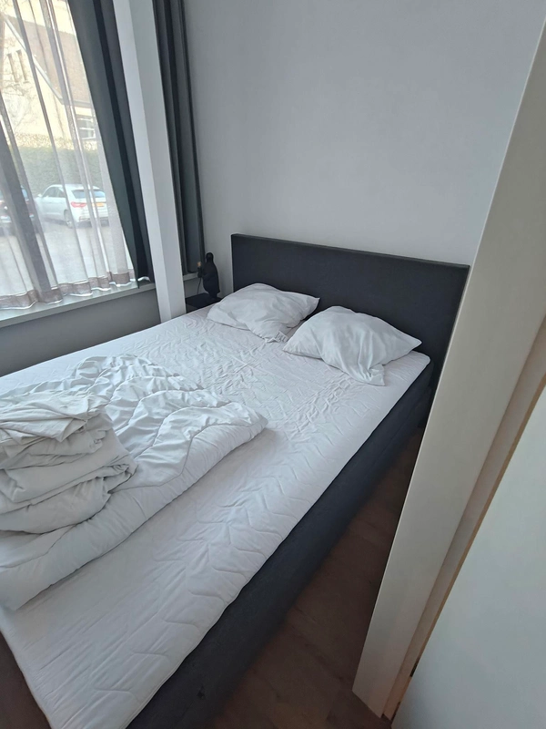 House Image 5