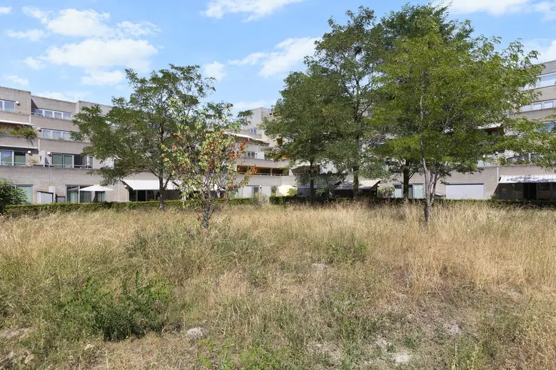 House Exterior