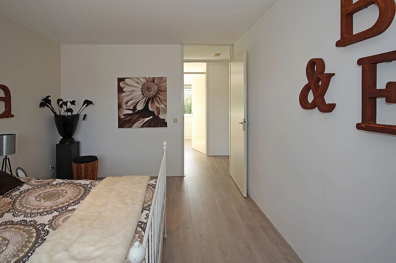 House Image 4