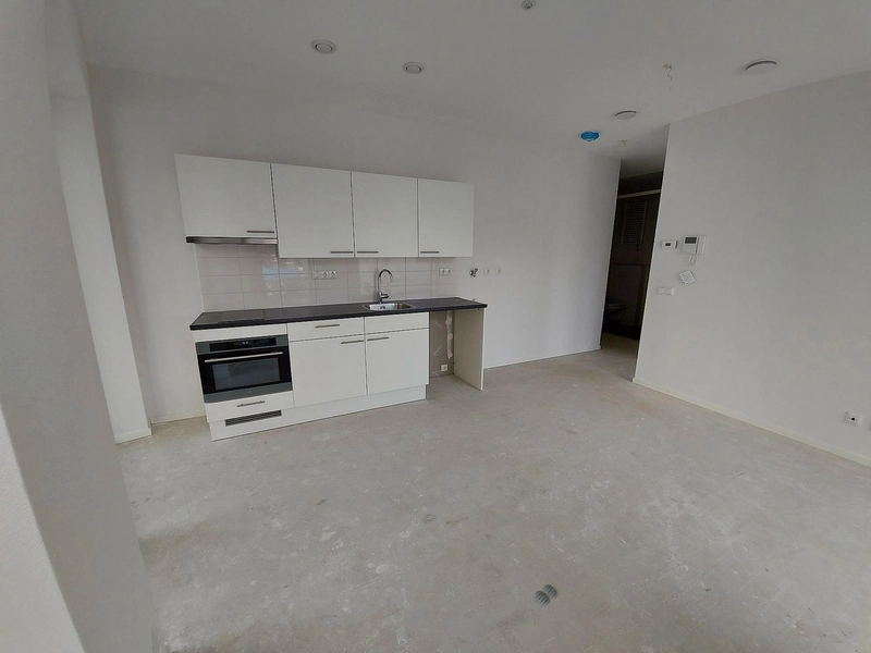 House Image 4