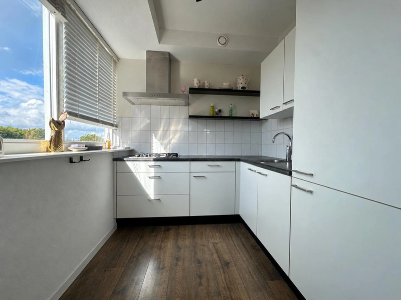 House Image 3