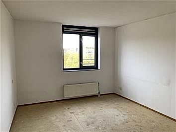 House Image 4
