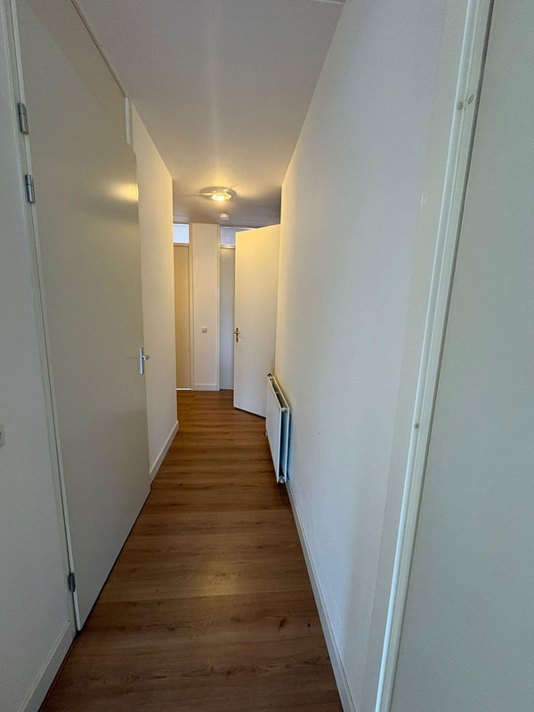 House Image 4
