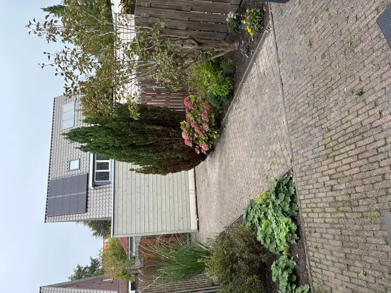 House Image 4