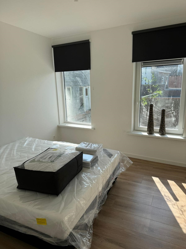 House Image 5