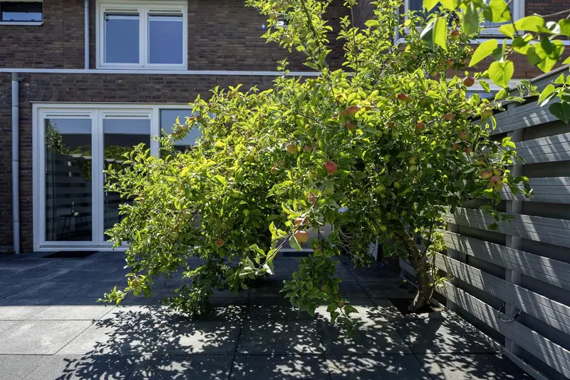 House Exterior