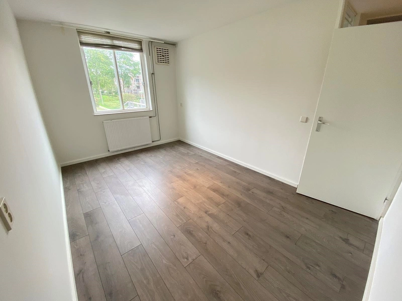 House Image 5