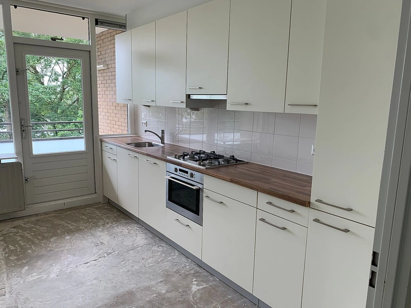 House Image 4