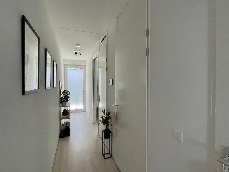 House Image 5