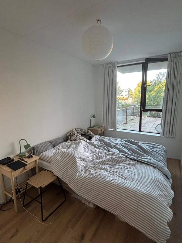 House Image 5