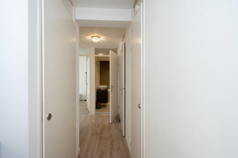 House Image 3