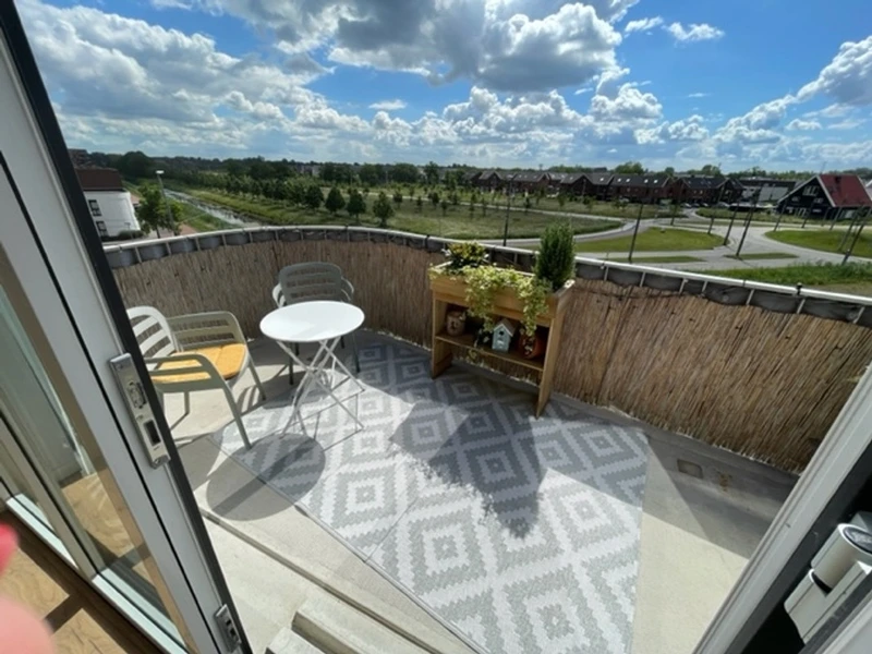 House Image 5