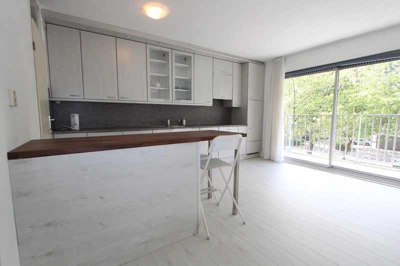 House Image 4