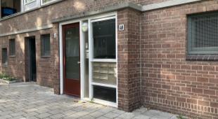 House Image 3