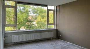 House Image 5