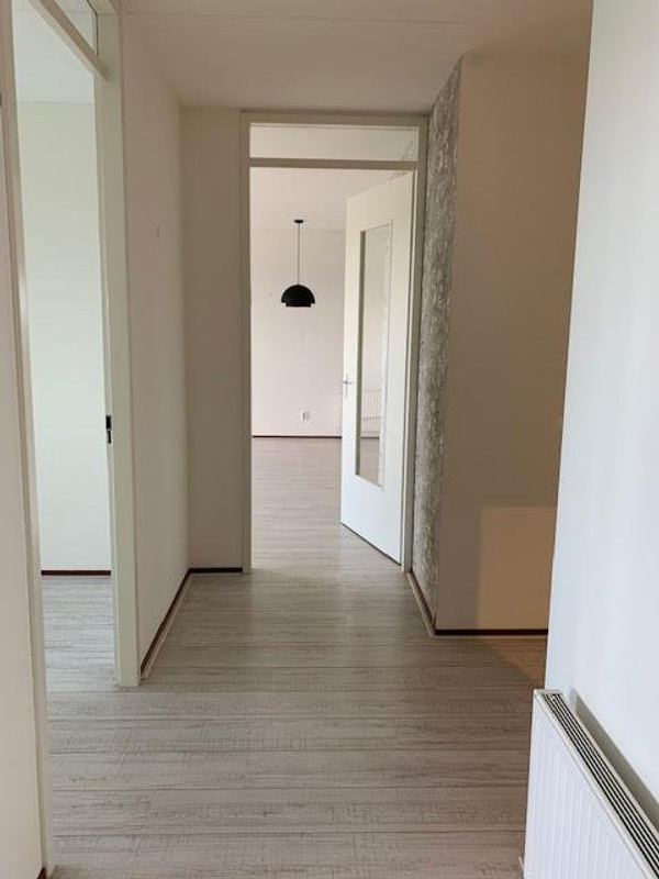 House Image 4