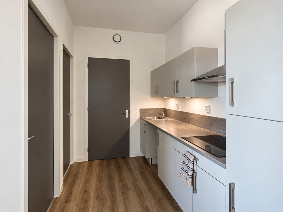 House Image 5