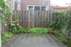 House Image 5