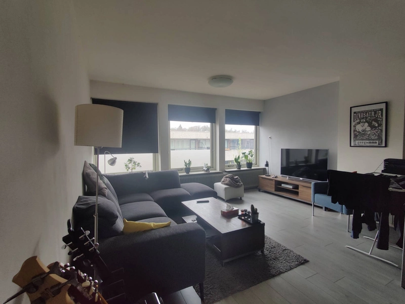 House Image 3