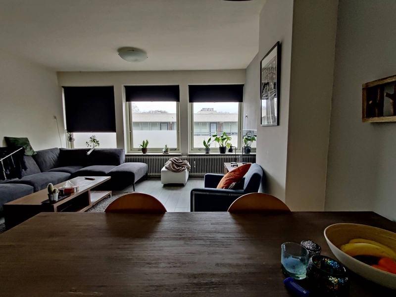 House Image 4