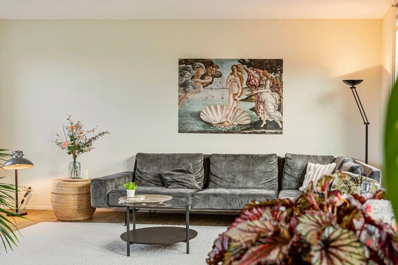 House Image 4