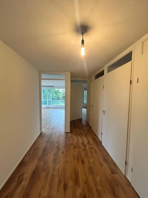 House Image 5