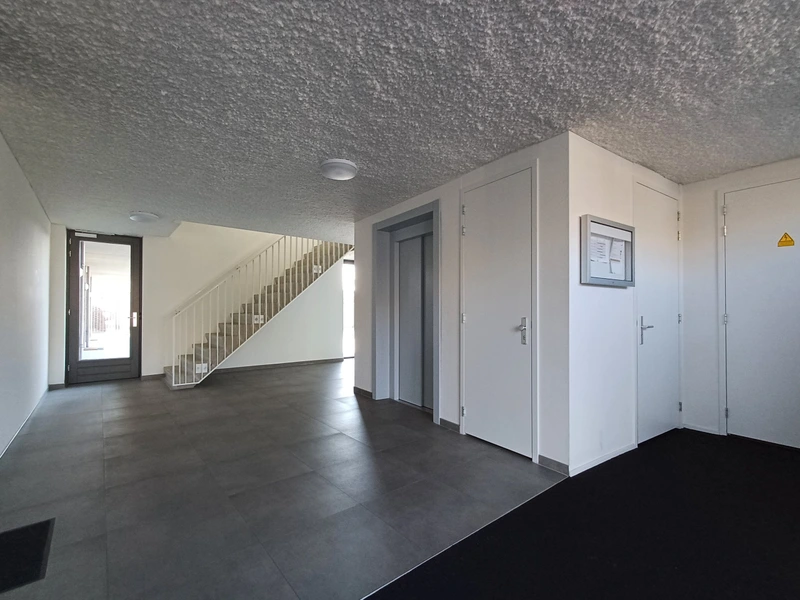 House Image 3