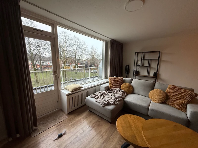 House Image 5