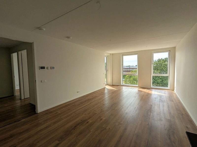 House Image 3